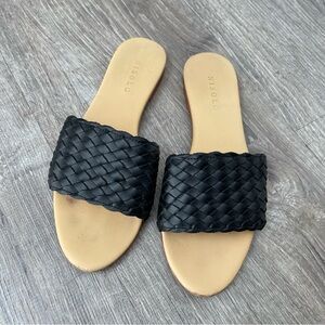 Nisolo Isla slides